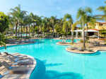 outdoor pool with palm trees
